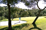 Local Golf